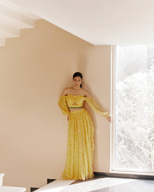 Petal Haze Bemberg Lehenga Set