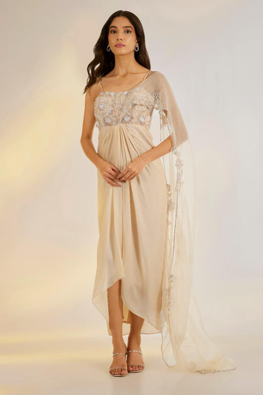Nude Pink Corset Saree Gown