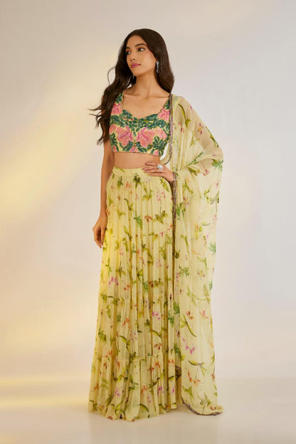 Embroidered Lehenga Set
