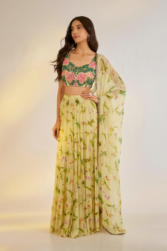 Embroidered Lehenga Set