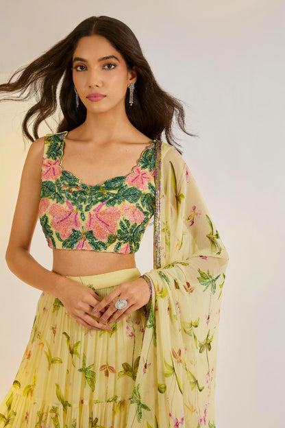 Embroidered Lehenga Set