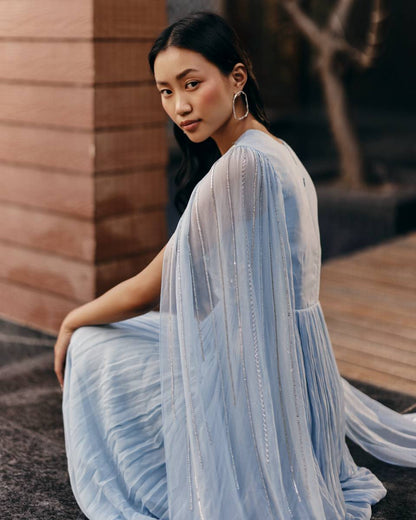 Powder Blue Embroidered Gown